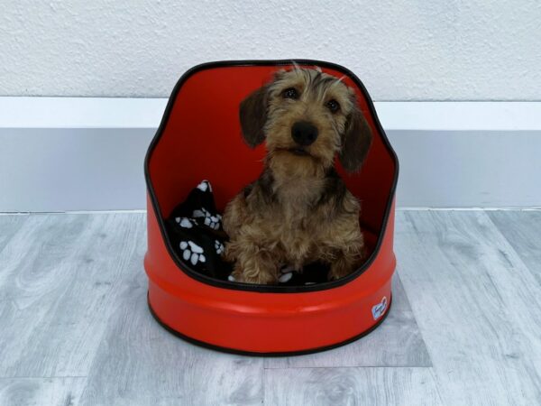 Oil barrel cat bed "Sweety" - Image 3